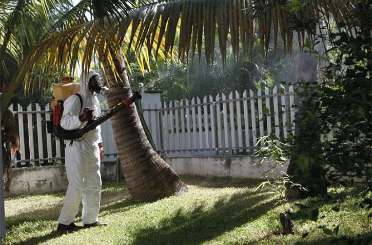 Opération de démoustication