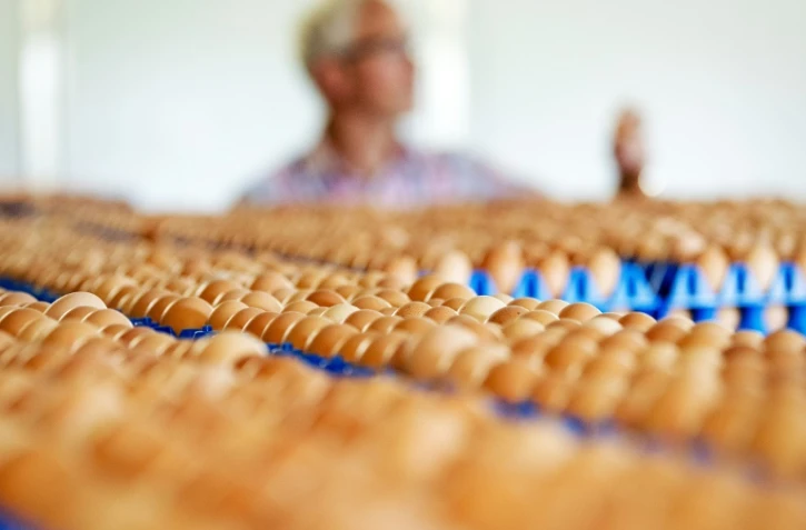 La crise des oeufs contaminés s'étend à la France et au Royaume-Uni