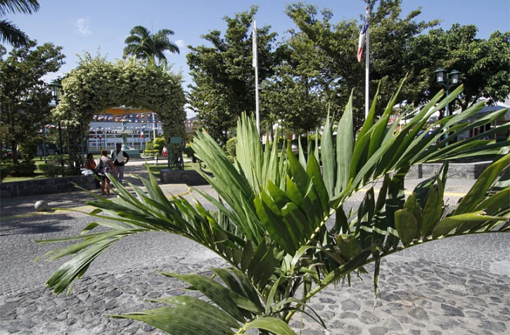 Mairie de Saint-Louis