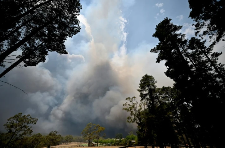 Un important feu de brousse à Balmoral, située à 150 kilomètres au sud-ouest de Sydney en Australie, le 19 décembre 2019
