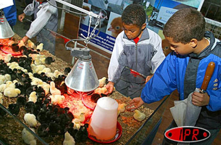 Foire agricole de Bras Panon (Photo archives)