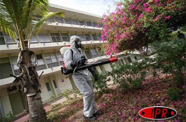 Lutte contre le chikungunya (Archives)