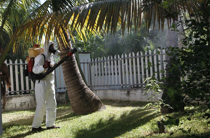 Lutte contre le chikungunya