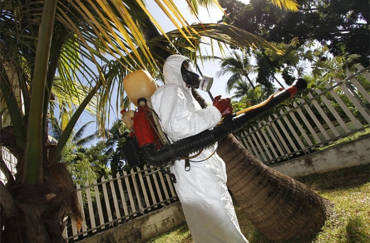 Lutte contre le chikungunya