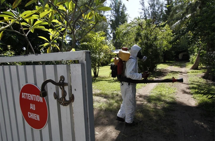 Lutte contre le chikungunya