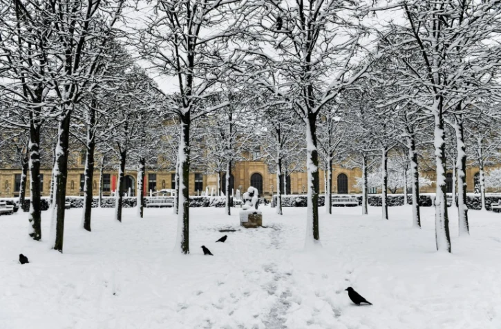 Au jardin des Tuileries à Paris le 7 février 2018