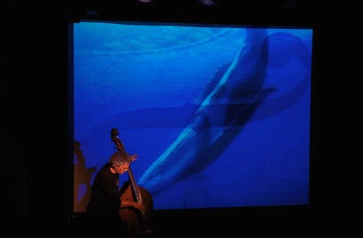 "Contrebasse et baleines" -
Bernard Abeille (Photo : La Lyrone)