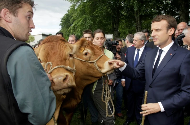 Le président français Emmanuel Macron lors d'une visite à Verneuil-sur-Vienne (Haute-Vienne), le 9 juin 2017