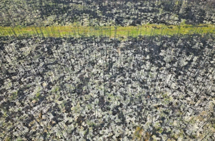 PrĂšs du village de NormĂ©tal dans l'ouest du QuĂ©bec oĂč des milliers d'hectares de forĂȘts ont brĂ»lĂ©, le 22 septembre 2023