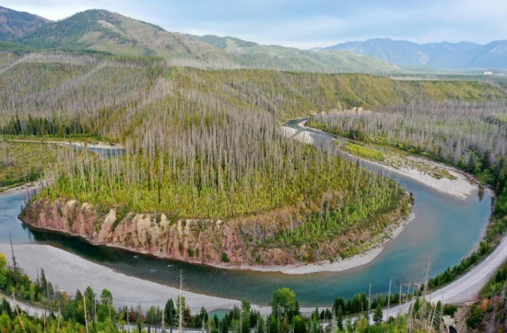 Des pins le long de la rivière Flathead dans le parc national Glacier, dans le Montana (nord-ouest des Etats-Unis), le 16 septembre 2019