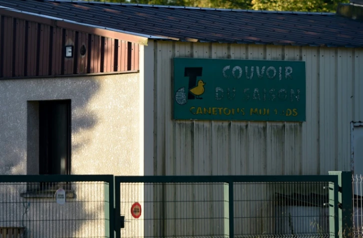 Les Couvoirs du Saison à Lichos, l'élevage mis nen cause par L214 le 20 août 2020