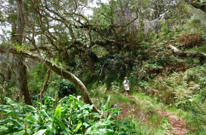 Sentier de la Roche Écrite (Photo Marie Trouvé)
