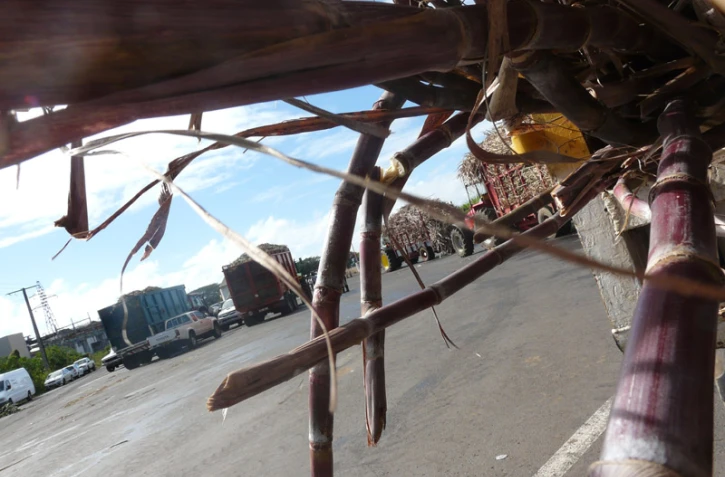 Les agriculteurs bloquent l'usine de Bois-Rouge (Photo d'archives, Mounice Najafaly)
