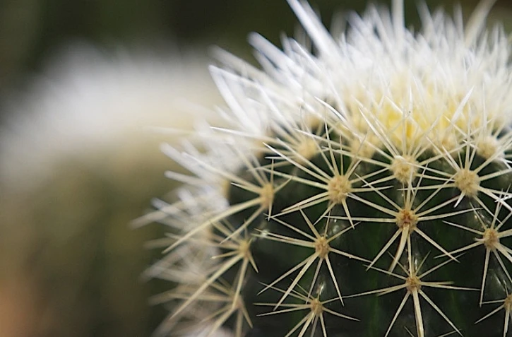 Vendredi 30 Juillet 2010

Salon flore et halle au Port