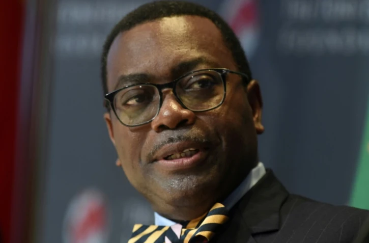 Le président de la Banque africaine de développement Akinwumi Adesina à Abuja, le 27 juillet 2019
