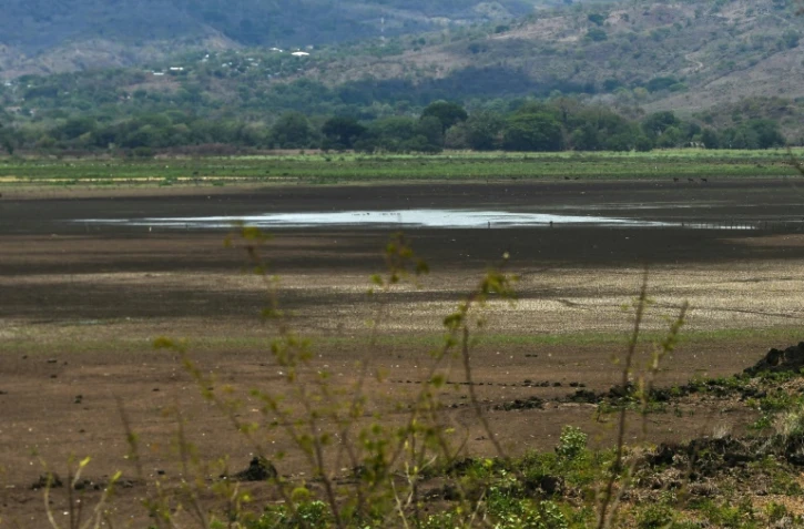 Des coquillages asséchés qui émergent du sol craquelé par le soleil : c'est tout ce qui reste de la lagune d'Atescatempa au Guatemala, autrefois vaste plan d'eau turquoise, victime du changement climatique.