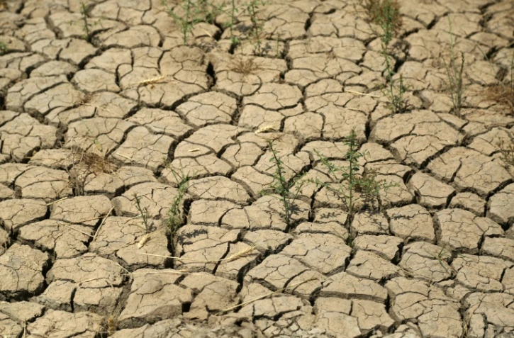 Des terres agricoles totalement desséchées dans le village de Jaliha, dans le centre de l'Irak le 26 avril 2022