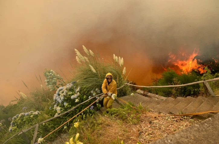 Un pompier lutte contre le feu de forêt à Funchal, sur l'île portugaise de Madère, le 9 août 2016