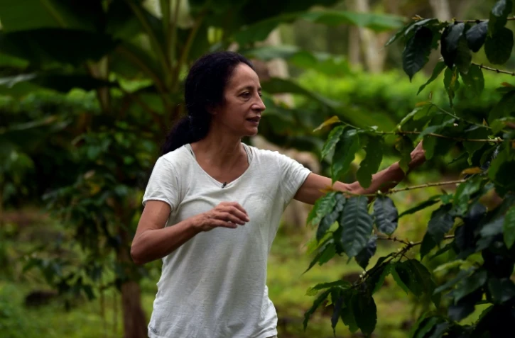 Maria Elena Guerra, caféicultrice, dans sa plantation sur l'île de Santa Cruz, le 16 avril 2021 aux Galapagos