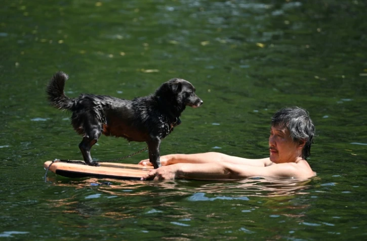 Un homme et son chien se rafraîchissent dans un canal à Pékin, pendant un épisode de fortes chaleurs en Chine, le 22 juin 2023