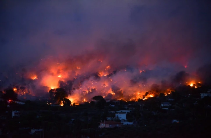Un feu de forêt près d'Athènes, le 23 juillet 2018