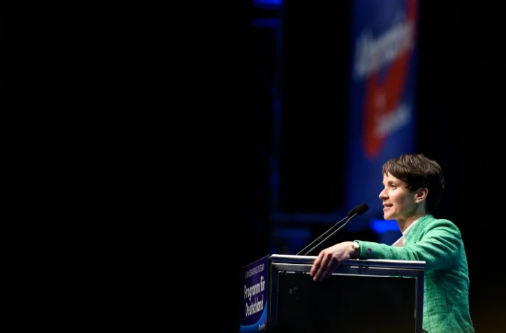 Allemagne: la droite populiste tentée par un cap anti-islam