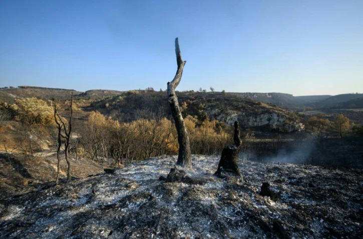 Des terres brûlées après l'incendie près de Fontjoncouse, dans l'Aude, le 8 août 2025
