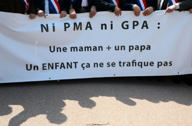 Manifestation anti-PMA et anti-GPA le 5 mai 2013 à Lyon