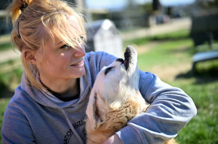 Stéphanie Lisicki, ancienne assistante vétérinaire et fondatrice du refuge pour animaux handicapés Suzi Handicap, avec la chienne Buzuka, victime d'un coup de hache dans la mâchoire en Roumanie, le 18 mars 2025 à Montreuil-au-Houlme, dans l'Orne