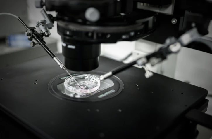 Injection cytoplasmique de sperme au laboratoire de reproduction biologique CECOS de l'hôpital Tenon, le 24 septembre 2019 à Paris