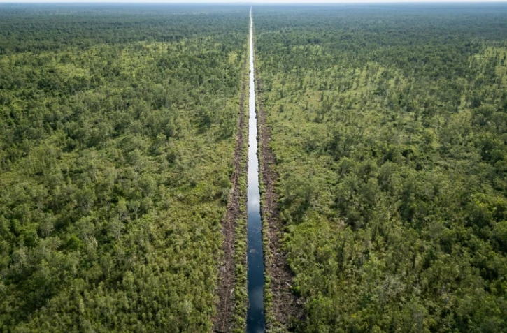 Vue aérienne d'un canal traversant la forêt de tourbières près d'une plantation d'acacias à Lebung Itam, dans le sud de Sumatra, le 11 juin 2025 en Indonésie