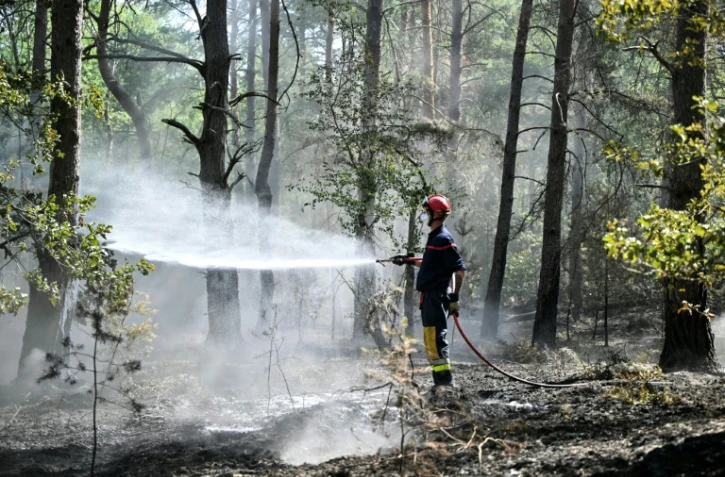 Un pompier arrose les arbres et le sous-bois pendant un incendie dans la forêt de Fontainebleau, à Noisy-sur-École, le 16 juillet 2026 en Seine-et-Marne