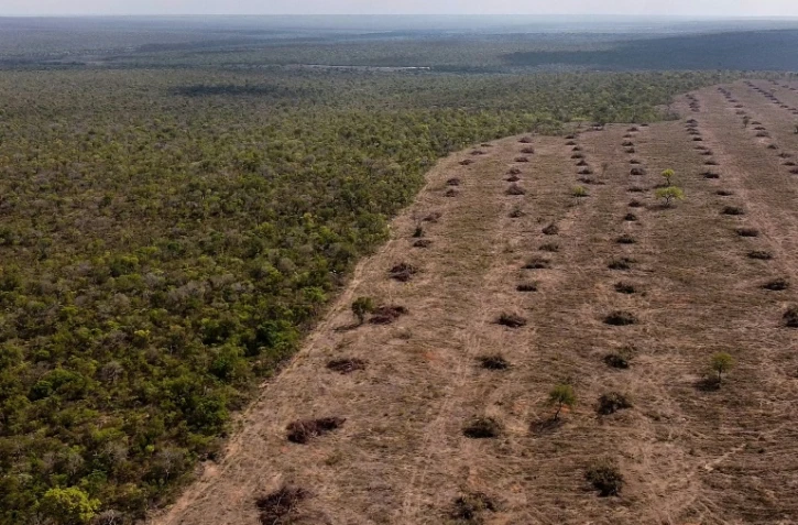 Vue aérienne de la savane du Cerrado, touchée par la déforestation, le 25 septembre 2023 à San Desiderio, dans le centre-est du Brésil