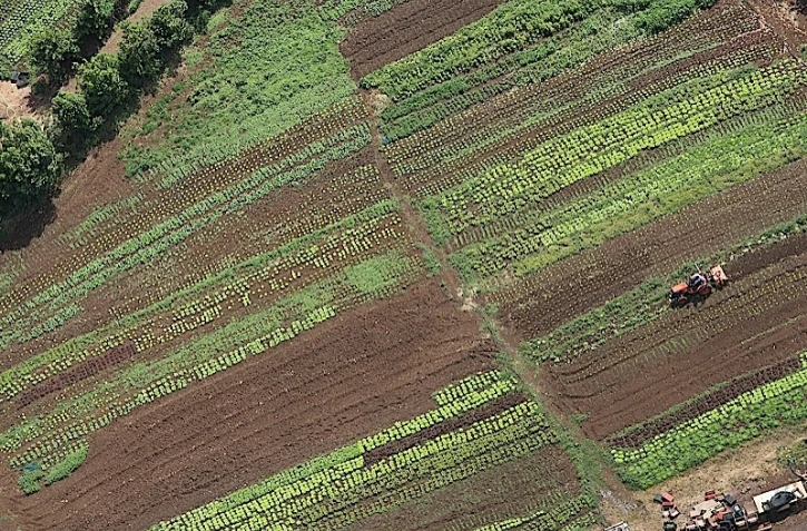 Agriculture