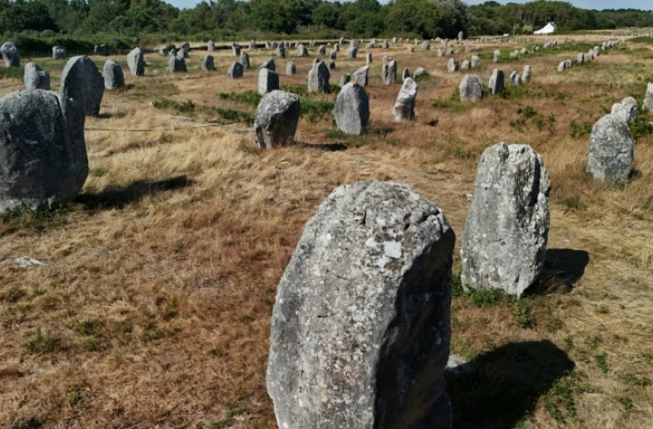 Vue générale le 4 juillet 2025 de l'alignement des mégalithes de Carnac (ouest) qui viennent d'être classés au patrimoine mondial par l'Unesco