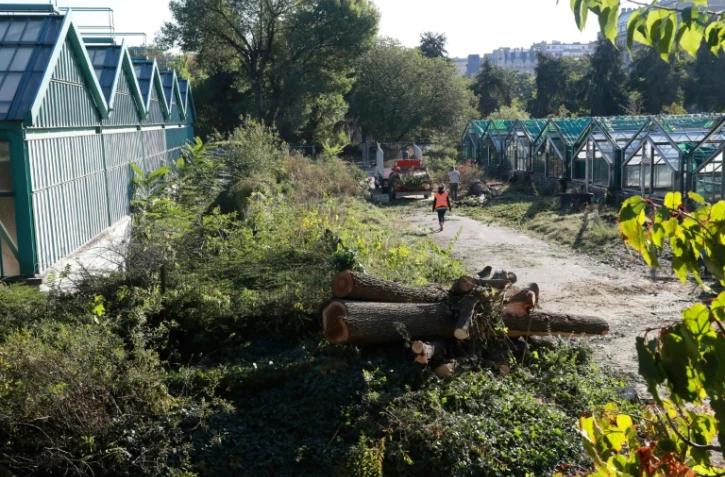 Les travaux d'extension de Roland-Garros ont débuté par l'abattage des arbres aux Serres d'Auteuil, le 5 octobre 2016 à Paris