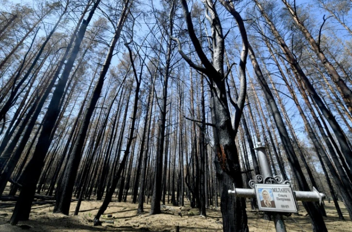 Des arbres calcinés dans un cimetière de la zone d'exclusion de Tchernobyl, le 11 juin 2020 en Ukraine