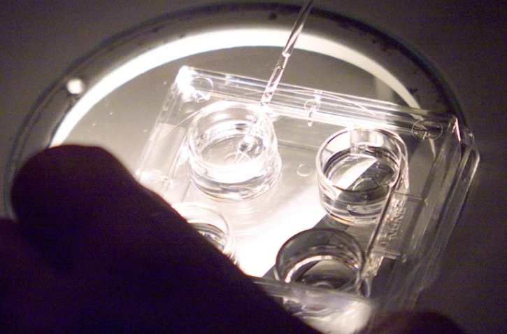 Sous les applaudissements, l'Assemblée nationale a à nouveau voté mercredi soir l'ouverture de la PMA à toutes les femmes, mesure phare du projet de loi bioéthique examiné en deuxième lecture