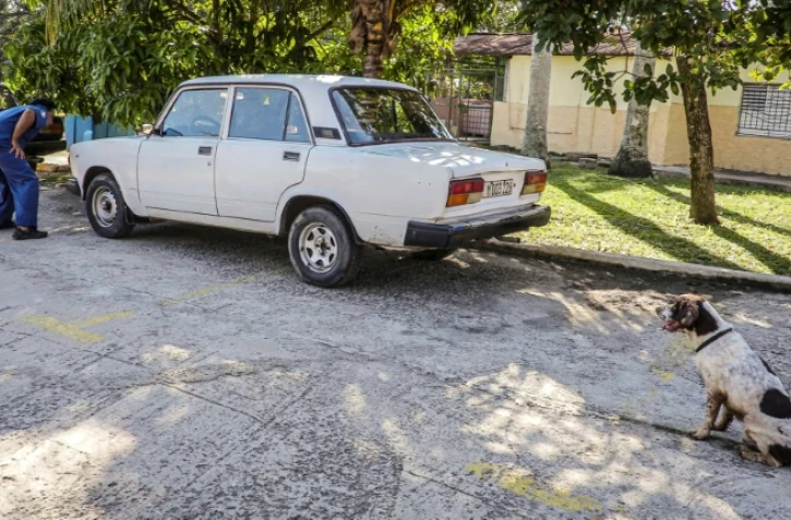 Un maître-chien et son chien participent à une formation de détection d'argent à La Havane, le 26 septembre 2019