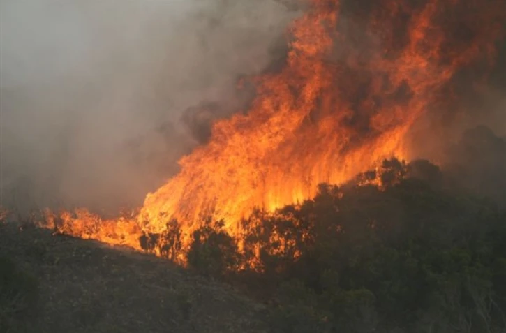 Mardi 12 octobre 2010 - incendie au Piton Maïdo (photo: Jean-François Benard)