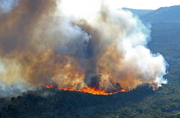 Mercredi 13 Octobre 2010
Incendie au MaĂŻdo