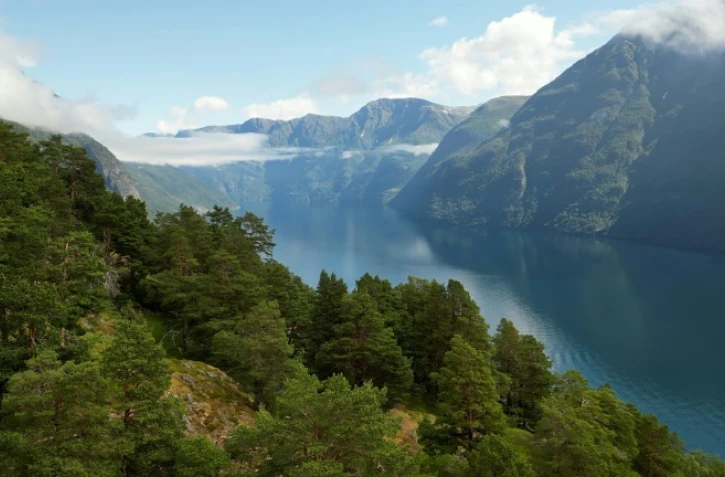 Vue aérienne prise depuis le point de vue de Ljoen, montrant le fjord de Geiranger, en Norvège, le 26 juin 2024