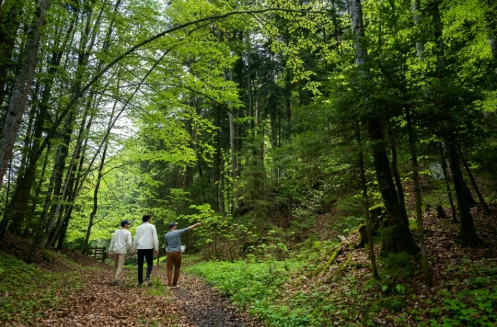 Les frères Gyger dans une forêt à la recherche de plantes pour leur distillerie, le 10 mai 2022 à Souboz, en Suisse