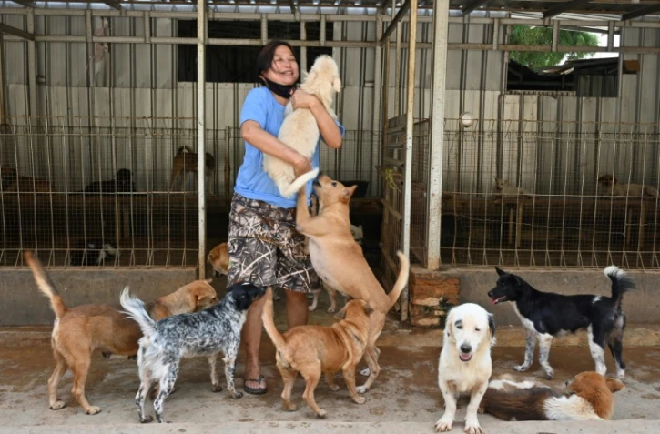 Susana Somali dans son refuge pour chiens installé à Jakarta, le 30 juin 2020