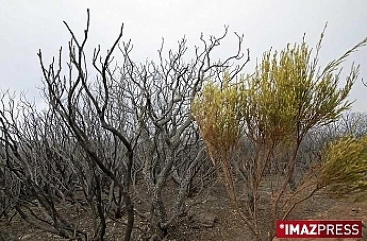 Incendie MaĂŻdo (photo d'archives)
