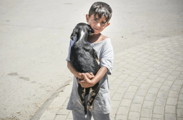 Un enfant et son chien dans le quartier rom à Mitrovica, au Kosovo, le 7 juillet 2017