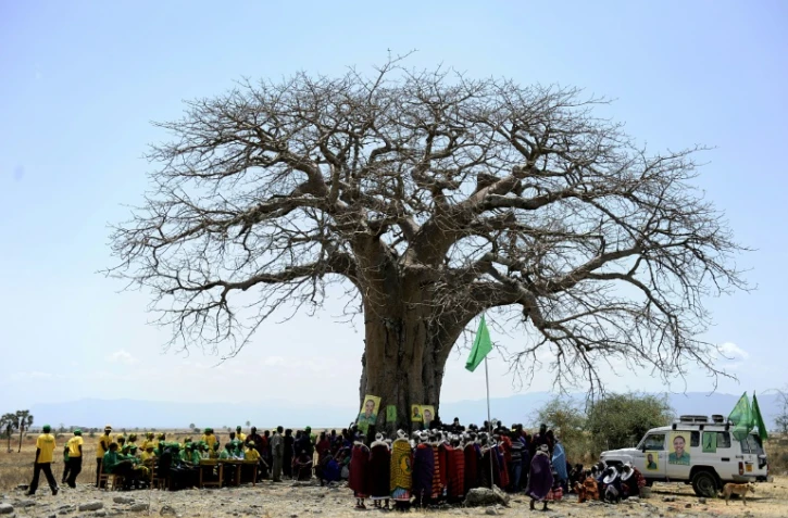 Des Massai se réunissent sous un baobab à Oltukai, en Tanzanie le 26 octobre 2010