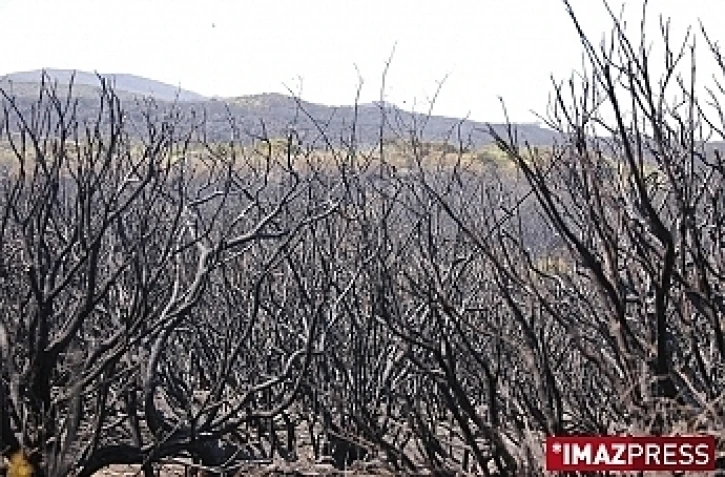 Incendie au Maïdo (archives)