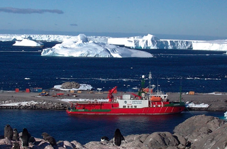 Illustration (photo : Taaf)