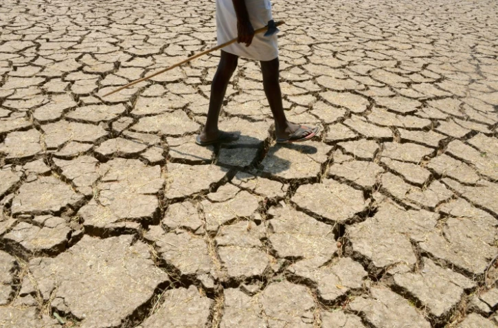 De Madagascar à l'Amazonie et jusque dans les Grandes plaines américaines, le dérèglement climatique pourrait menacer entre un quart et la moitié des espèces d'ici 2080 dans 33 régions du monde parmi les plus riches en biodiversité, selon un rapport
